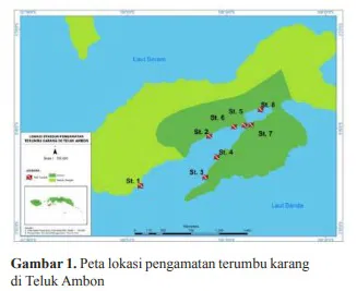 Status Kondisi Terumbu Karang di Teluk Ambon Coral Reefs