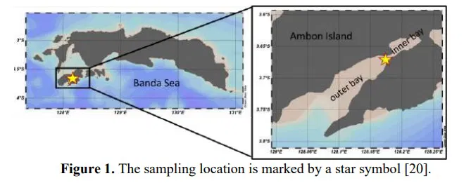 Flame Atomic Adsorption Spectrophotometer (FAAS) to Assess the Concentration of Heavy Metals (Pb, Cd, Cr, and Zn) in Porites Coral from Ambon Bay, Indonesia